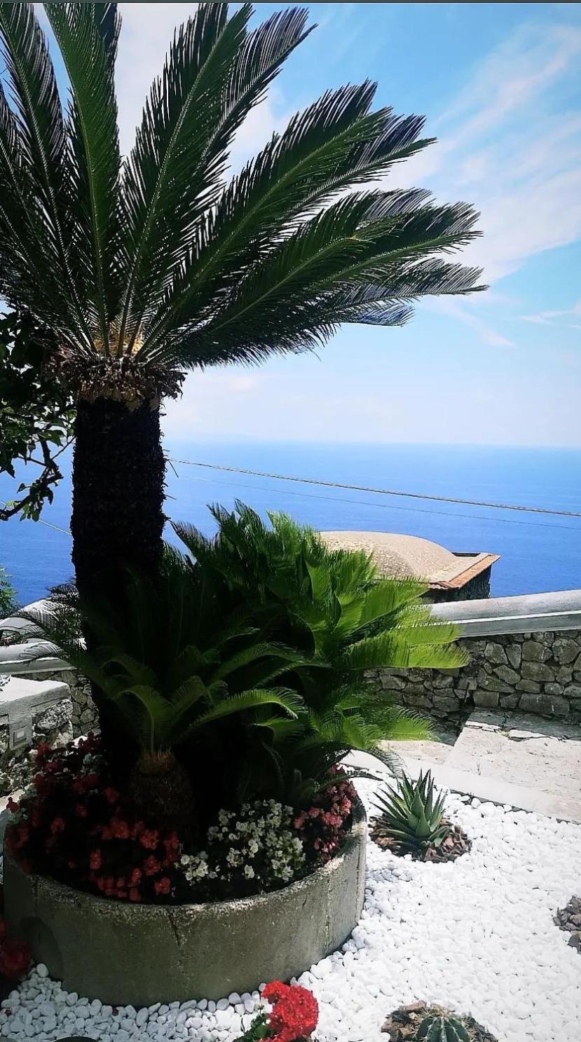 Villa Furoris Apartment Furore Kültér fotó